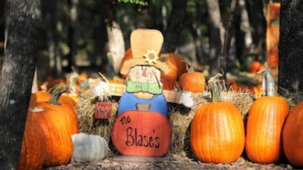 Blase Family Farm
